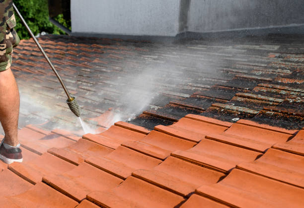 Best Local Pressure Washing Services  in North Lauderdale, FL
