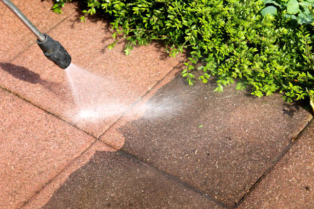 Best Pressure Washing Company Near Me  in North Lauderdale, FL